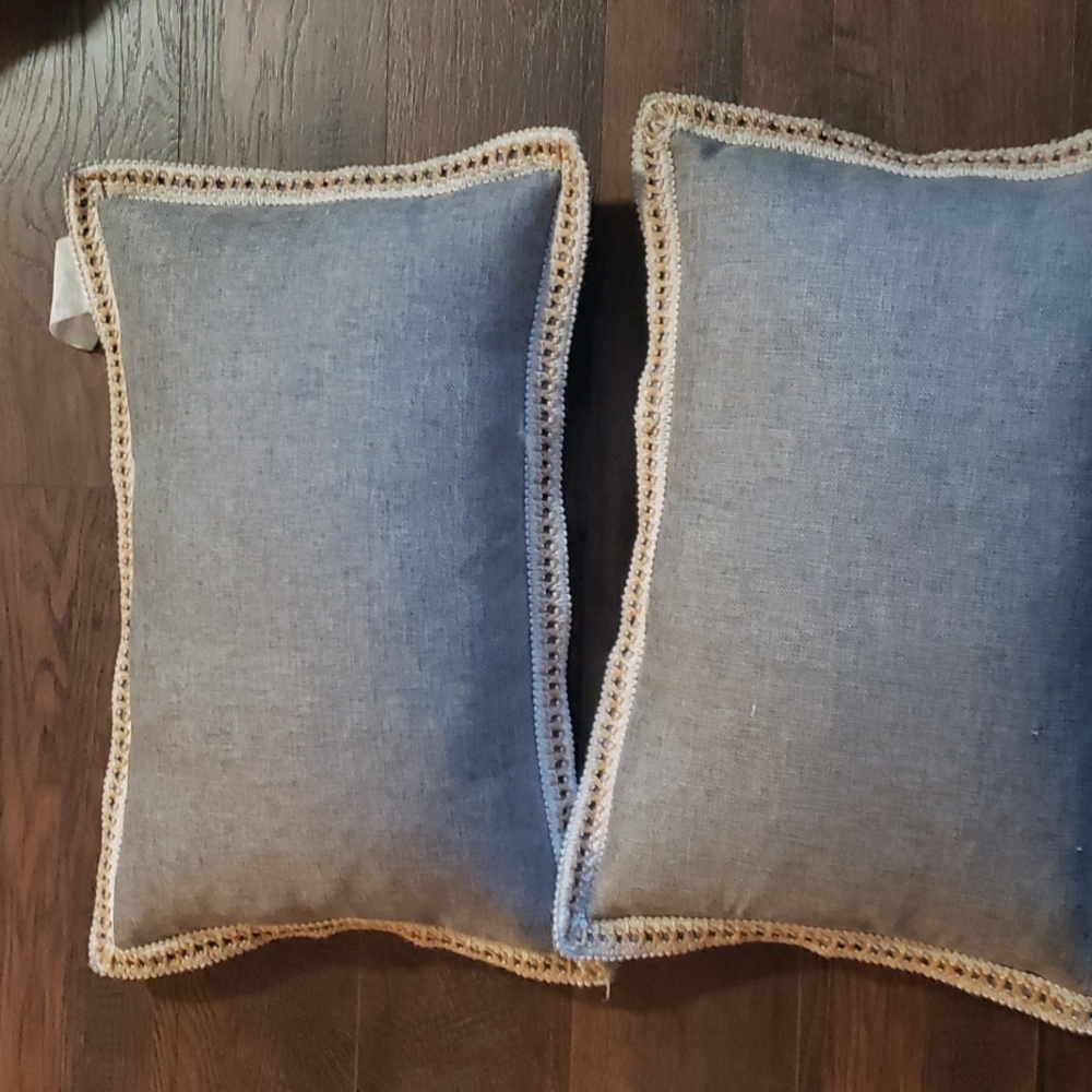 2 Accent Pillows